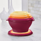 Tupperware Heritage 32-Piece Food Storage Set - Airtight Seal Bowls & Canisters