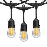 Feit Electric 48' LED String Light with 24 Screw Base LED Vintage Bulbs Plus 2 Spares