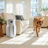 Shark BreatheClear MAX Air Purifier HP365CO with NeverChange HEPA Filter