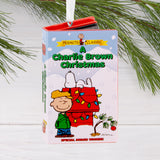 Hallmark Peanuts A Charlie Brown Christmas Retro Video Cassette Case Ornament