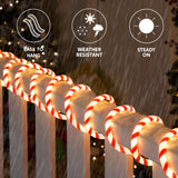 40 ft LED Candy Cane Rope Lights, 360 LED Red & Warm White Christmas Rope Lights