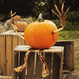 Halloween Pumpkin Arms & Legs Set, 4-Piece Bendable Vine Stakes for Jack-O-Lantern