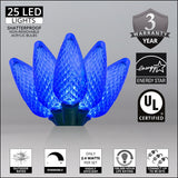 Wintergreen Lighting C9 Christmas Lights, 25-Ct 17FT LED String Lights for Holiday Decorations