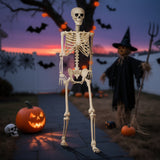 5.4 Ft Life-Size Poseable Halloween Skeleton, Flexible Full Body Decor
