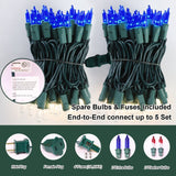 Blue and Clear Christmas Mini String Lights, 100-Count 20FT Incandescent Lights with Twinkle Option