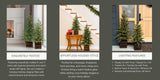 CG Hunter 4' and 3' Pre-Lit Pine Trees with 190 Total Warm White LED Lights