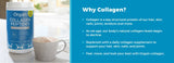 1.6 lb. Orgain Collagen Peptides + Probiotics Powder – Unflavored, 20 g Collagen