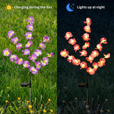 2 Pack Solar Orchid Flower Lights – Purple & Pink Waterproof LED Solar Garden Lights