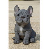 Hi-Line Gift Blue French Bulldog Puppy Sitting Statue, Realistic Polyresin Indoor Dog Figurine