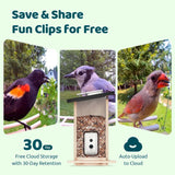 Birdfy Ebony Smart Wooden Bird Feeder with 1080p Camera, Solar Panel & 2.8L Capacity
