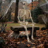 5.4 Ft Life-Size Poseable Halloween Skeleton, Flexible Full Body Decor