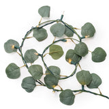 Mainstays Eucalyptus Curtain String Lights, 9.5 ft x 6.56 ft, 480 Warm White Incandescent Lights