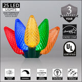 Wintergreen Lighting C9 Christmas Lights, 25-Ct 17FT LED String Lights for Holiday Decorations