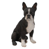 Hi Line 16.5" Boston Terrier Statue, Realistic Polyresin Dog Sculpture