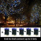 Blue and Clear Christmas Mini String Lights, 100-Count 20FT Incandescent Lights with Twinkle Option