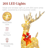 Best Choice Products 4-Foot Lighted Christmas Reindeer and Sleigh Outdoor Décor Set with 205 LED Lights