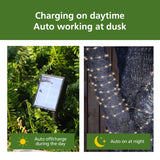 Mainstays Solar Power 200-Count Warm White Fairy LED  Wire Lights