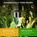 DAILIHIVE 10 Pack Stainless Steel Solar Spike Lights – 3-Color LED Pathway & Landscape Lights