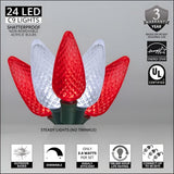 Wintergreen Lighting C9 Christmas Lights, 25-Ct 17FT LED String Lights for Holiday Decorations