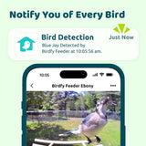 Birdfy Ebony Smart Wooden Bird Feeder with 1080p Camera, Solar Panel & 2.8L Capacity