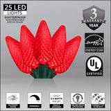 Wintergreen Lighting C9 Christmas Lights, 25-Ct 17FT LED String Lights for Holiday Decorations
