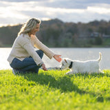 PetSafe Guardian GPS 2.0 Wireless Dog Fence and Real-Time Tracker with 2-Year Subscription