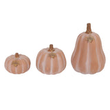 Member’s Mark Hand-Painted Terra Cotta Pumpkins, Set of 3