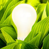 8-Pack A19 Feit Electric 100 W Replacement 5-CCT LED Glass Bulbs – 1600 lm, 13 W & Dimmable