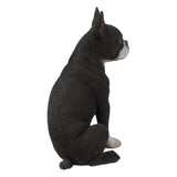 Hi Line 16.5" Boston Terrier Statue, Realistic Polyresin Dog Sculpture