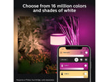 Philips Hue White & Color Ambiance Calla Outdoor Smart Pathway Light Extension