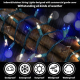 Blue and Clear Christmas Mini String Lights, 100-Count 20FT Incandescent Lights with Twinkle Option
