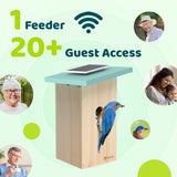 Birdfy Smart Bird House with 1080p Camera, Solar Charging & AI Nest Monitoring
