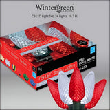 Wintergreen Lighting C9 Christmas Lights, 25-Ct 17FT LED String Lights for Holiday Decorations