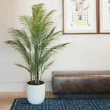 CGH 6.5 Ft Artificial Palm Tree - CGH Faux 6.5' Lifelike Palm Tree