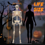 5.4 Ft Life-Size Poseable Halloween Skeleton, Flexible Full Body Decor