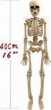 2-Pack 16" Poseable Halloween Skeleton Decorations, Realistic Full Body Hanging Props