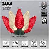 Wintergreen Lighting C9 Christmas Lights, 25-Ct 17FT LED String Lights for Holiday Decorations