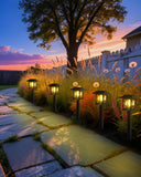 12-Pack Solar Classic-style Lantern Pathway Lights, Light Bulb Warm White