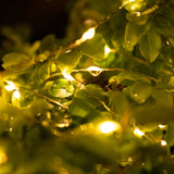 Plug-In Fairy Lights 100 ft – 300 LED Waterproof Silver Wire String Lights with Remote