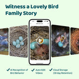 Birdfy Smart Bird House with 1080p Camera, Solar Charging & AI Nest Monitoring