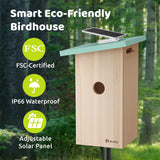 Birdfy Smart Bird House with 1080p Camera, Solar Charging & AI Nest Monitoring