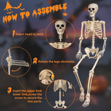 5.4 Ft Life-Size Poseable Halloween Skeleton, Flexible Full Body Decor