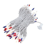 100-Count Incandescent Mini Christmas String Lights, 50 ft White Wire Holiday Light Set,