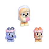 Bluey Fuzzies The Sign Episode Collectibles – 3 Flocked Figures, 5-Slot Display Case & Holographic Card