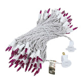 100-Count Incandescent Mini Christmas String Lights, 50 ft White Wire Holiday Light Set,