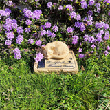 Solar Cat Memorial Garden Stone with Sleeping Cat Statue, 8" Resin Pet Grave Marker, Auto-Glow Sympathy Memorial