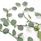 Mainstays Eucalyptus Curtain String Lights, 9.5 ft x 6.56 ft, 480 Warm White Incandescent Lights