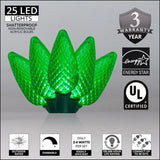 Wintergreen Lighting C9 Christmas Lights, 25-Ct 17FT LED String Lights for Holiday Decorations
