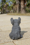 Hi-Line Gift Blue French Bulldog Puppy Sitting Statue, Realistic Polyresin Indoor Dog Figurine