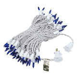 100-Count Incandescent Mini Christmas String Lights, 50 ft White Wire Holiday Light Set,